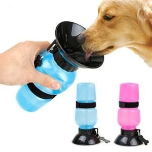 Water Bottle Mug