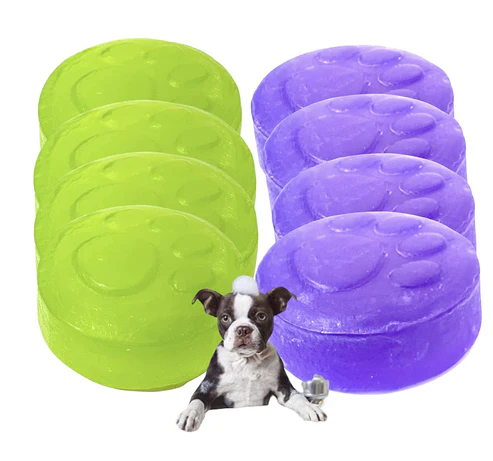 Dogs Soap