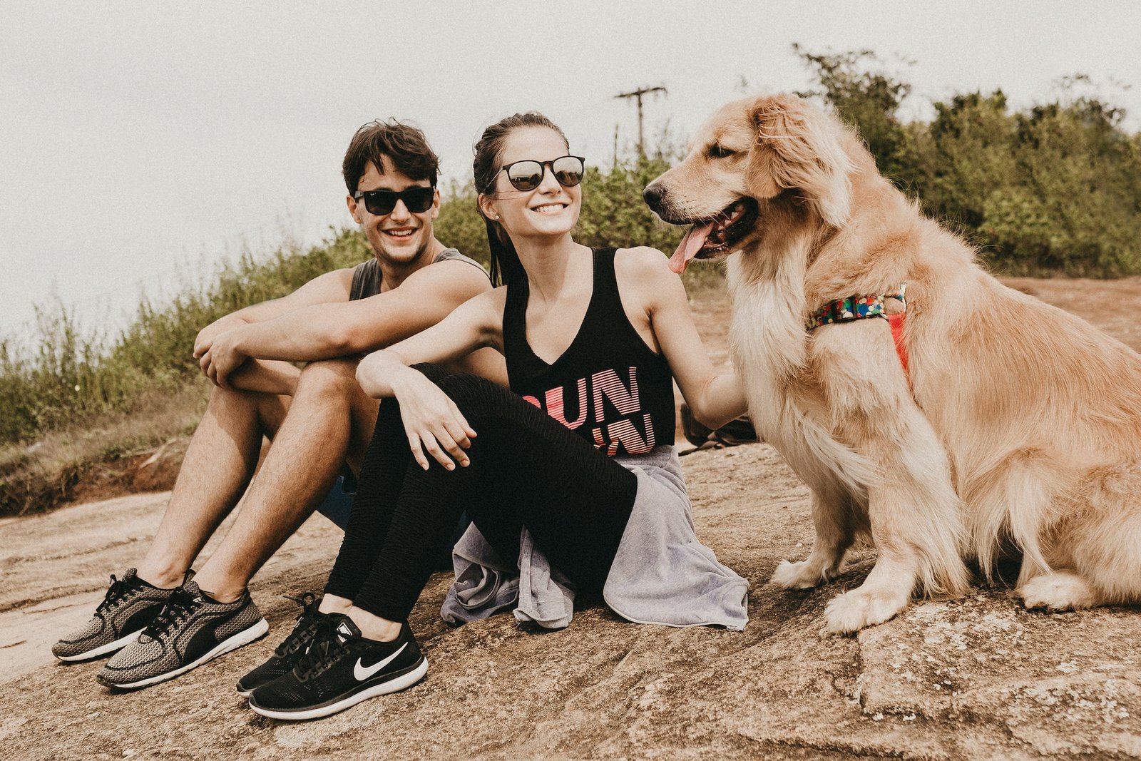 Golden Retriever Price in Bangalore (2023) All Breeders