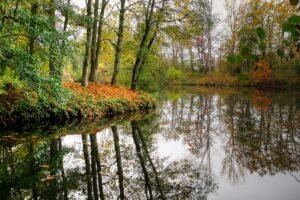 Okhla Bird Sanctuary