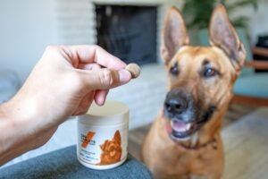 Neomec Tablet, Gabapentin for Dog