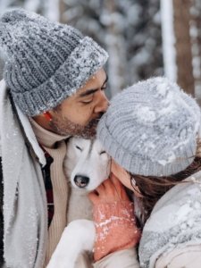 German Shepherd Husky Mix