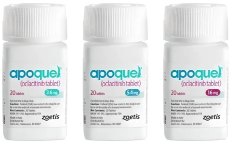 Apoquel for Dogs