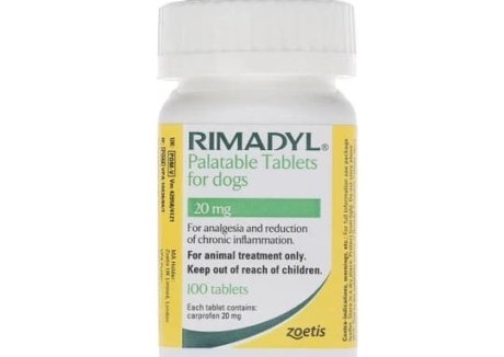 Rimadyl