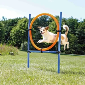 Dog Agility Ring