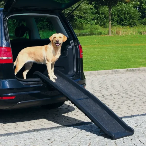 Folding Ramp For Pets
