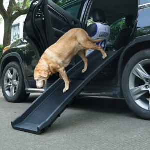 Folding Ramp For Pets
