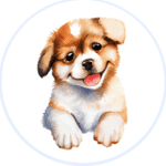BestToPets