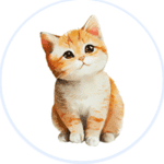 BestToPets