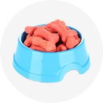 BestToPets