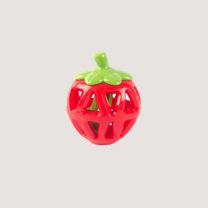 Strawberry Dog Toy