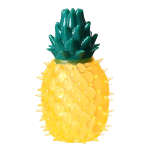 Pineapple Dog Toy